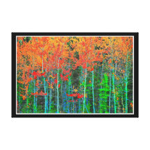 Forest  Stretched Canvas Print