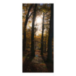 Forest sun personalized rack card