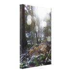 Forest Sun Rays in the Snow #68 Stretched Canvas Print