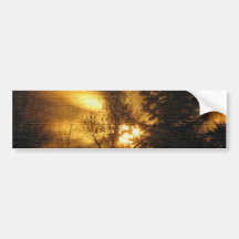 Forest Sunrise Bumper Stickers