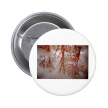 Forest Swim Button