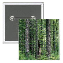 Forest Symmetry Buttons
