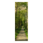 Forest Trees and Path Bookmarks Cards Business Card Template