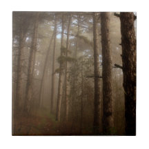 Forest Trees Natural Landscape Ceramic Tiles