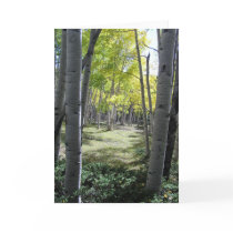 Forest View Card