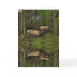 FOREST WILDLIFE Animal Clans Greeting Cards