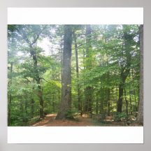 Forêt au New Hampshire Posters