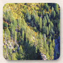 Forêt de montagne sous-bocks