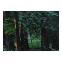 Forêt de velours invitations personnalisées