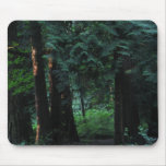 Forêt de velours tapis de souris