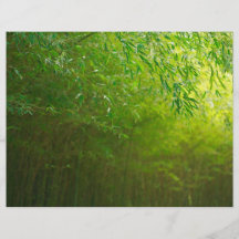 Forêt en bambou prospectus en couleur