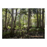 Forêt enchantée, crique de Fisheating Cartes De Vœux