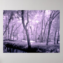 Forêt samouraï affiche