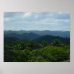 forêt tropicale posters