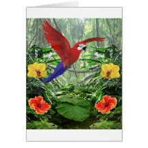 Forêt tropicale tropicale cartes de vœux