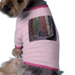 Forêts d'arbre de séquoias manteau pour chien
