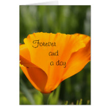 Forever and a day cards