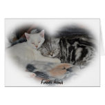 Forever friends - Cat note card cards