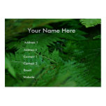Forever Green Business Card Templates