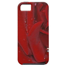 Forever Love Rose iPhone 5 Cover