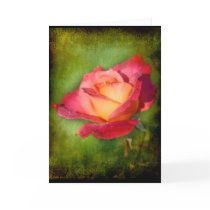 Forever Peace - Customized Greeting Card
