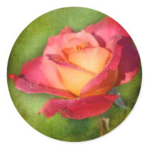 Forever Peace Sticker