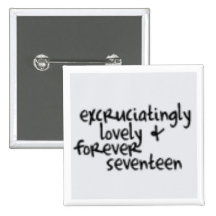 Forever seventeen pin