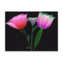Forever Tulips 1 Post Card