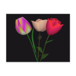 Forever Tulips 3 postcards