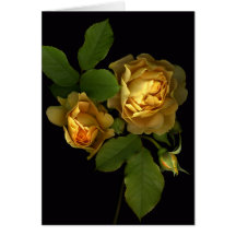 Forever Yellow Roses Card