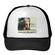 ForeverMorgans Morgan Stallion Mesh Hats