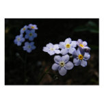 Forget Me Not ~ ATC Business Card Template