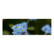 Forget-Me-Not Business Cards
