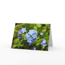 Forget-Me-Not Card