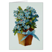 Forget Me Not Flowers Greeting Cards