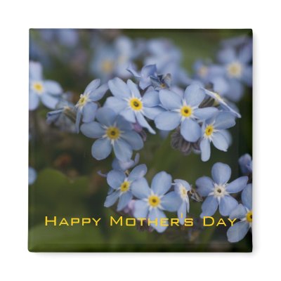 Forget-Me-Not • Happy Mother's Day Magnet by SabineStGreetings