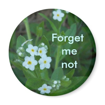 Forget me not Magnet by OurEnchantedGarden