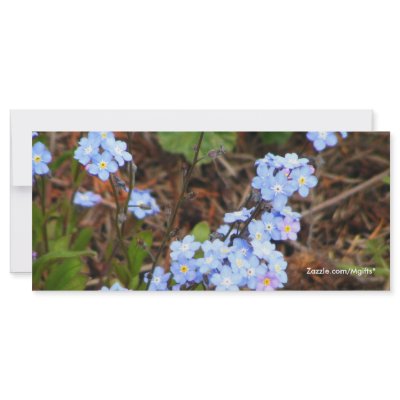Forget Me Not Rack Cards by Mgifts
