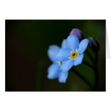 Forget-Me-Nots 10 Birthday Card