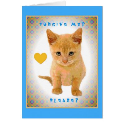 Forgive me? Please? Cards by GotCats