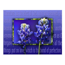 Forgive Me Post Cards