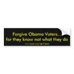 Forgive Obama Voters...for they know not what t... Bumper Stickers