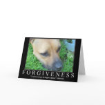 Forgiveness Greeting Cards