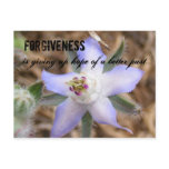 FORGIVENESS, is giving up hope of a b... Postcards