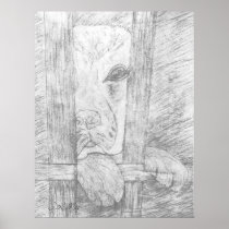 Forgotten Wall Decor Poster