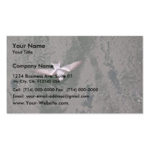 Fork-tailed Storm-Petrel Business Card Templates