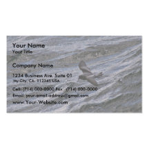 Fork-tailed Storm-Petrel Business Cards