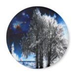 Forlorn Sovereign Refrigerator Magnets