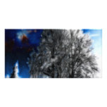 Forlorn Sovereign photo cards