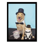 Formal Postcard